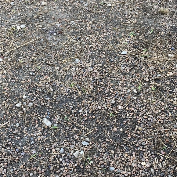 Meet your Posher, Katie - Picture 1 of 1